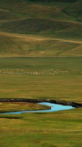 Preview wallpaper grass, river, hills