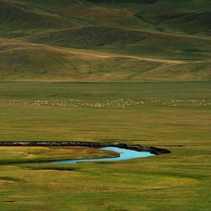 Preview wallpaper grass, river, hills