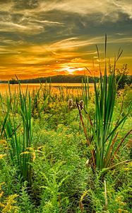 Preview wallpaper grass, river, sunset, horizon, summer