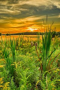 Preview wallpaper grass, river, sunset, horizon, summer