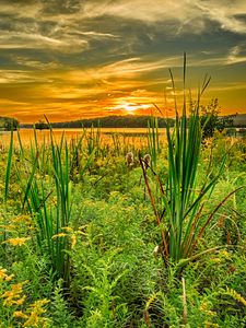 Preview wallpaper grass, river, sunset, horizon, summer