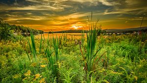Preview wallpaper grass, river, sunset, horizon, summer
