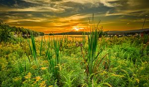 Preview wallpaper grass, river, sunset, horizon, summer