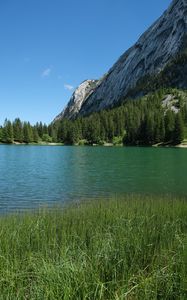 Preview wallpaper grass, river, trees, slope, mountain