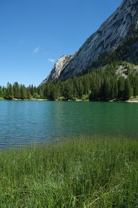 Preview wallpaper grass, river, trees, slope, mountain