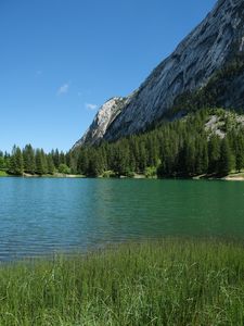 Preview wallpaper grass, river, trees, slope, mountain