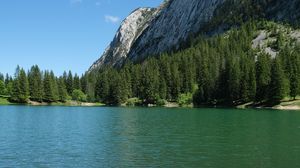 Preview wallpaper grass, river, trees, slope, mountain