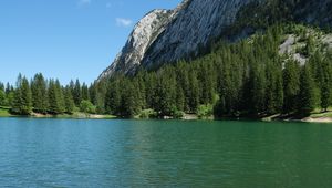 Preview wallpaper grass, river, trees, slope, mountain