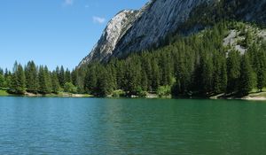 Preview wallpaper grass, river, trees, slope, mountain