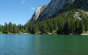 Preview wallpaper grass, river, trees, slope, mountain