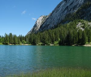 Preview wallpaper grass, river, trees, slope, mountain