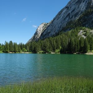 Preview wallpaper grass, river, trees, slope, mountain