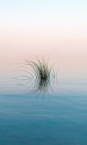 Preview wallpaper grass, river, water, reflection, ripples