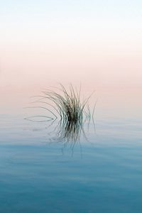 Preview wallpaper grass, river, water, reflection, ripples