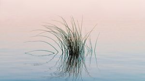 Preview wallpaper grass, river, water, reflection, ripples