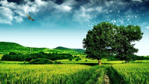 Preview wallpaper grass, road, footpath