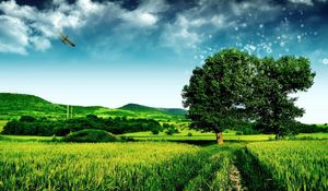 Preview wallpaper grass, road, footpath