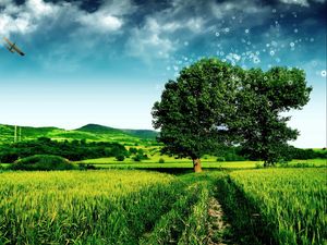 Preview wallpaper grass, road, footpath