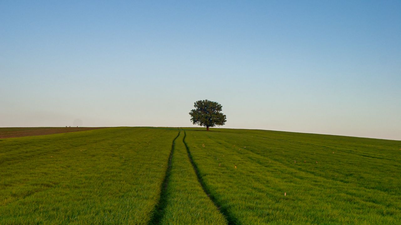 Wallpaper grass, road, horizon hd, picture, image