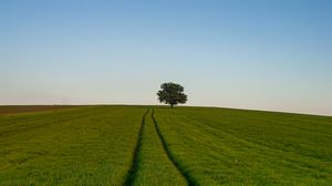 Preview wallpaper grass, road, horizon
