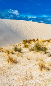 Preview wallpaper grass, sands, desert, dunes, sky