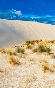 Preview wallpaper grass, sands, desert, dunes, sky
