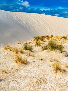Preview wallpaper grass, sands, desert, dunes, sky
