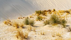 Preview wallpaper grass, sands, desert, dunes, sky