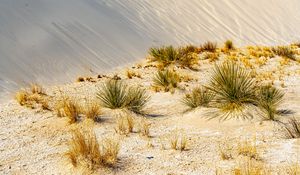 Preview wallpaper grass, sands, desert, dunes, sky