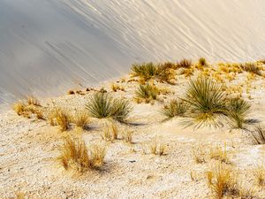 Preview wallpaper grass, sands, desert, dunes, sky