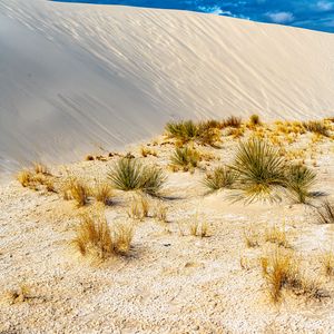 Preview wallpaper grass, sands, desert, dunes, sky