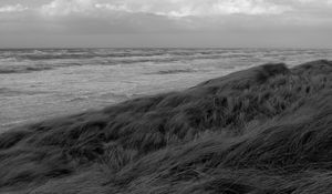 Preview wallpaper grass, sea, coast, bw, landscape