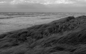 Preview wallpaper grass, sea, coast, bw, landscape
