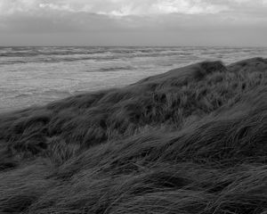 Preview wallpaper grass, sea, coast, bw, landscape