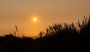 Preview wallpaper grass, sea, silhouettes, sun, dark, nature