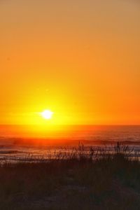 Preview wallpaper grass, sea, waves, sunset, dark