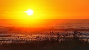 Preview wallpaper grass, sea, waves, sunset, dark