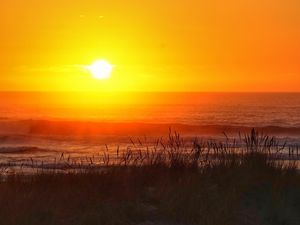 Preview wallpaper grass, sea, waves, sunset, dark