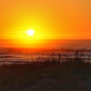 Preview wallpaper grass, sea, waves, sunset, dark