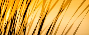 Preview wallpaper grass, shadow, dark, lines, plant