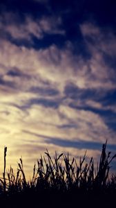 Preview wallpaper grass, silhouettes, clouds, twilight, dark