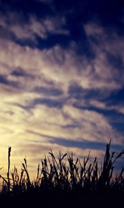 Preview wallpaper grass, silhouettes, clouds, twilight, dark
