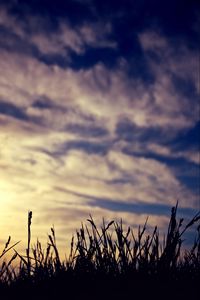 Preview wallpaper grass, silhouettes, clouds, twilight, dark