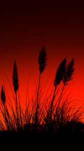 Preview wallpaper grass, silhouettes, dark, red