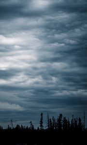 Preview wallpaper grass, silhouettes, evening, sky, dark, blue