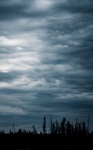 Preview wallpaper grass, silhouettes, evening, sky, dark, blue