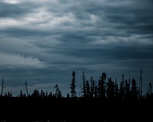 Preview wallpaper grass, silhouettes, evening, sky, dark, blue