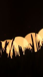 Preview wallpaper grass, silhouettes, light, bokeh, dark