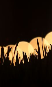 Preview wallpaper grass, silhouettes, light, bokeh, dark