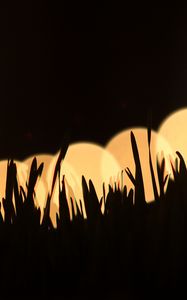 Preview wallpaper grass, silhouettes, light, bokeh, dark